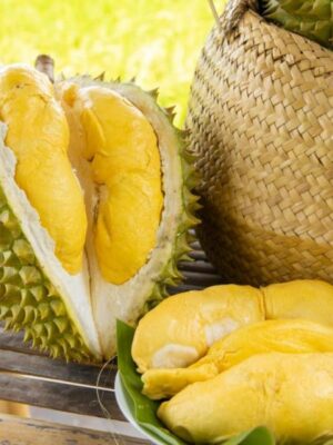 Múi sầu riêng vàng ươm, thơm béo