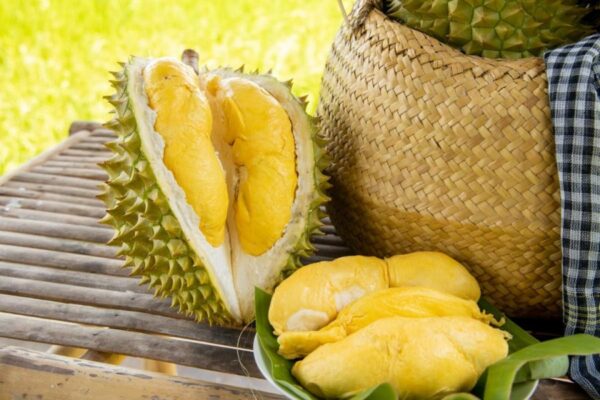 Múi sầu riêng vàng ươm, thơm béo